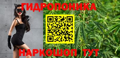 a pvp Канаш