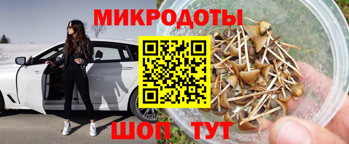 закладка  Вход с VPN  Торжок  Псилоцибиновые грибы ЛСД 